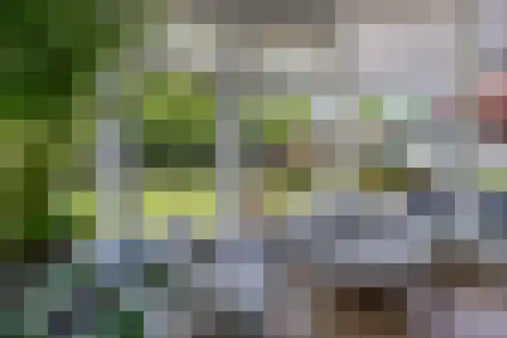Vonderrijt 15 Nuenen thumbnail 11
