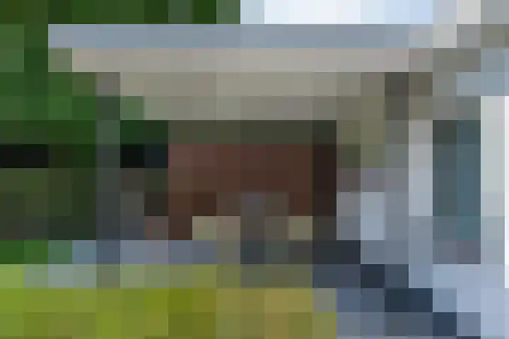 Vonderrijt 15 Nuenen thumbnail 36