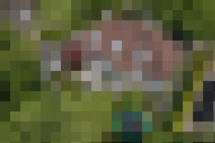 Vonderrijt 15 Nuenen thumbnail 4