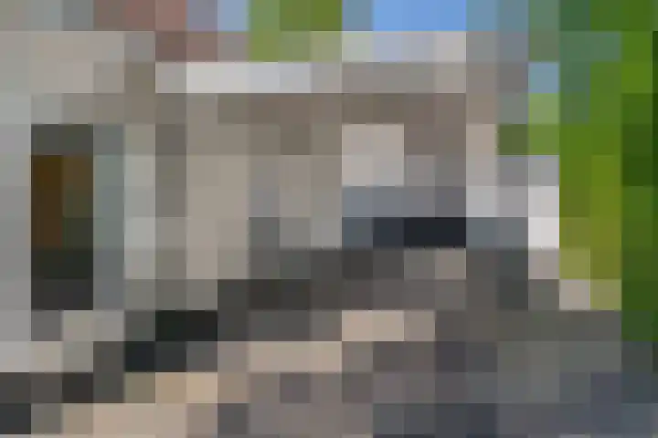 Vonderrijt 15 Nuenen thumbnail 47
