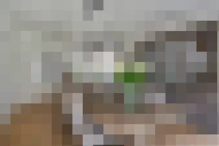 Vonderrijt 15 Nuenen thumbnail 9
