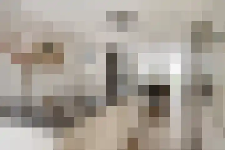Vonderrijt 18 Nuenen thumbnail 20