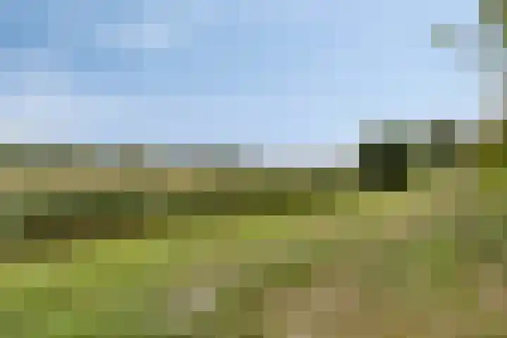 Vonderrijt 18 Nuenen thumbnail 45