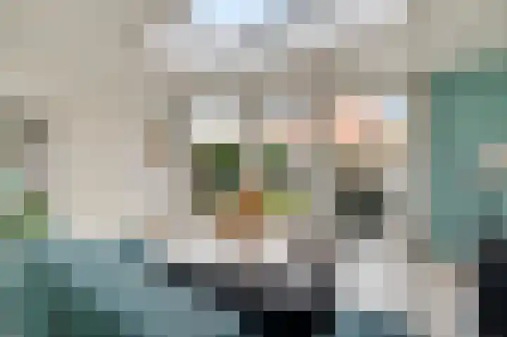 Vondersestraat 19 Horst thumbnail 23