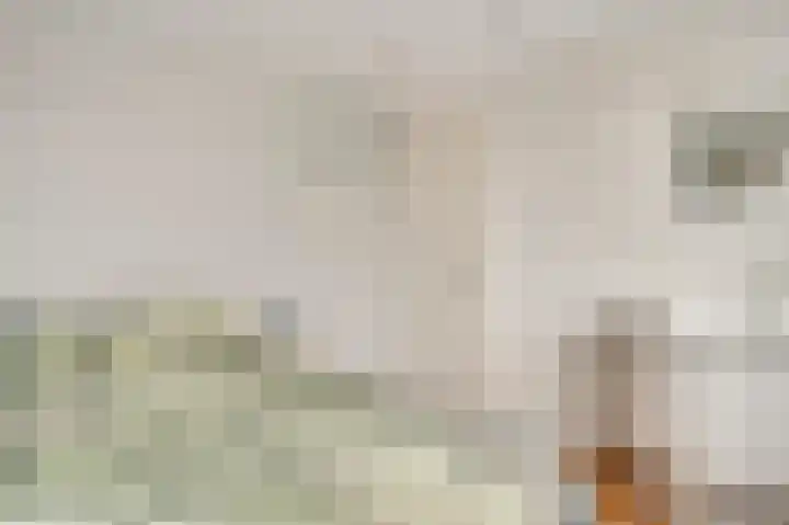 Vondersestraat 19 Horst thumbnail 41