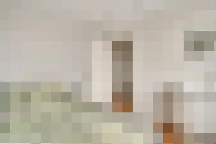 Vondersestraat 19 Horst thumbnail 42