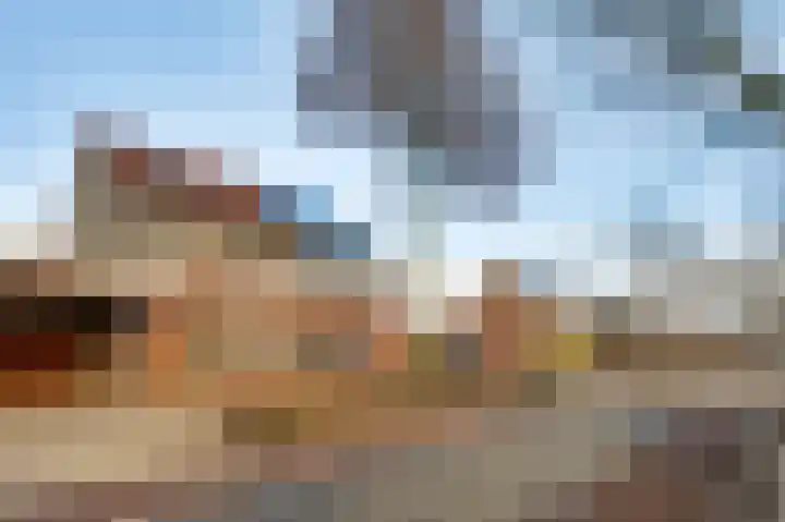 Vondersestraat 19 Horst thumbnail 9