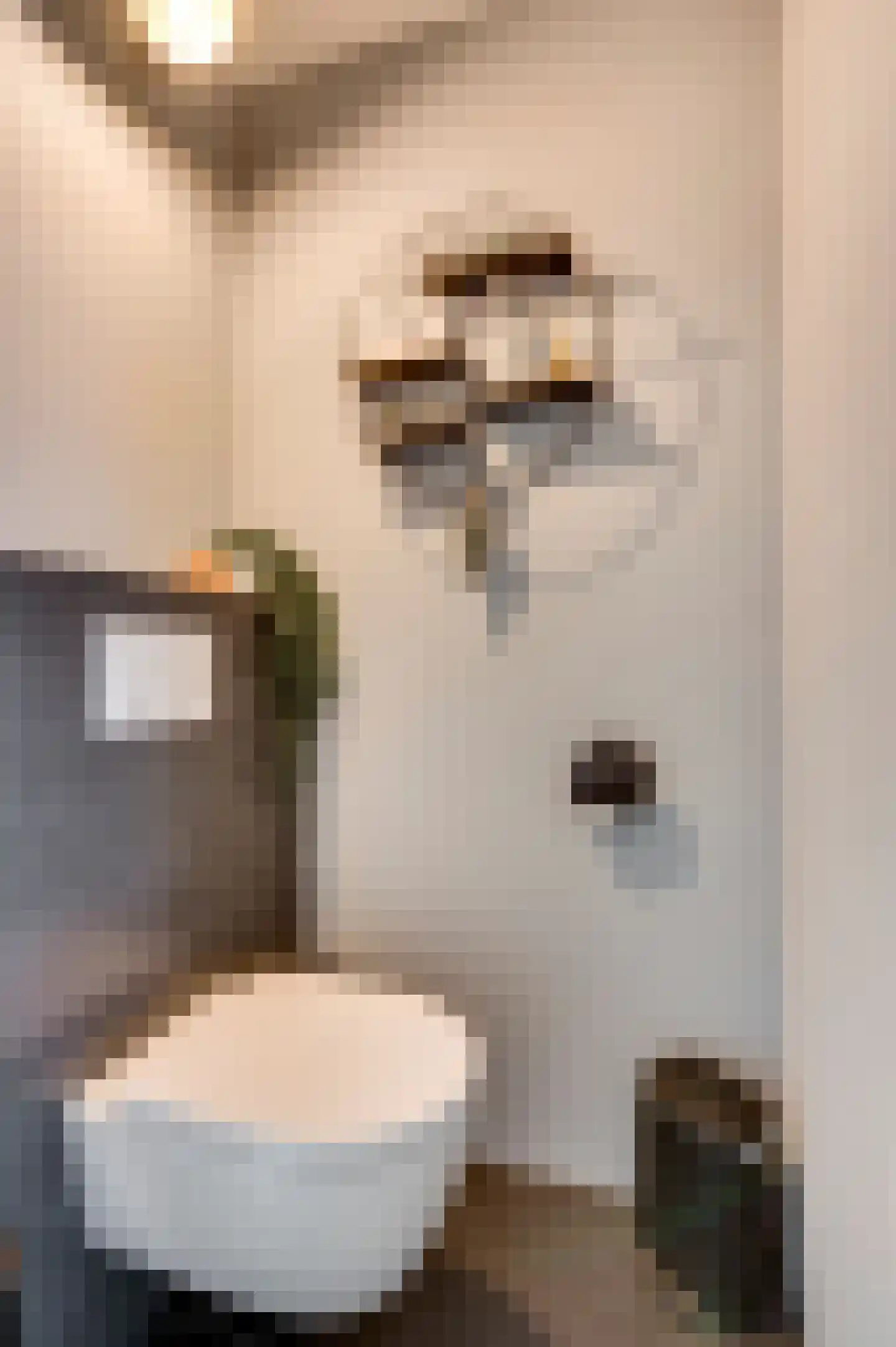 Vondersestraat 26 Horst thumbnail 12