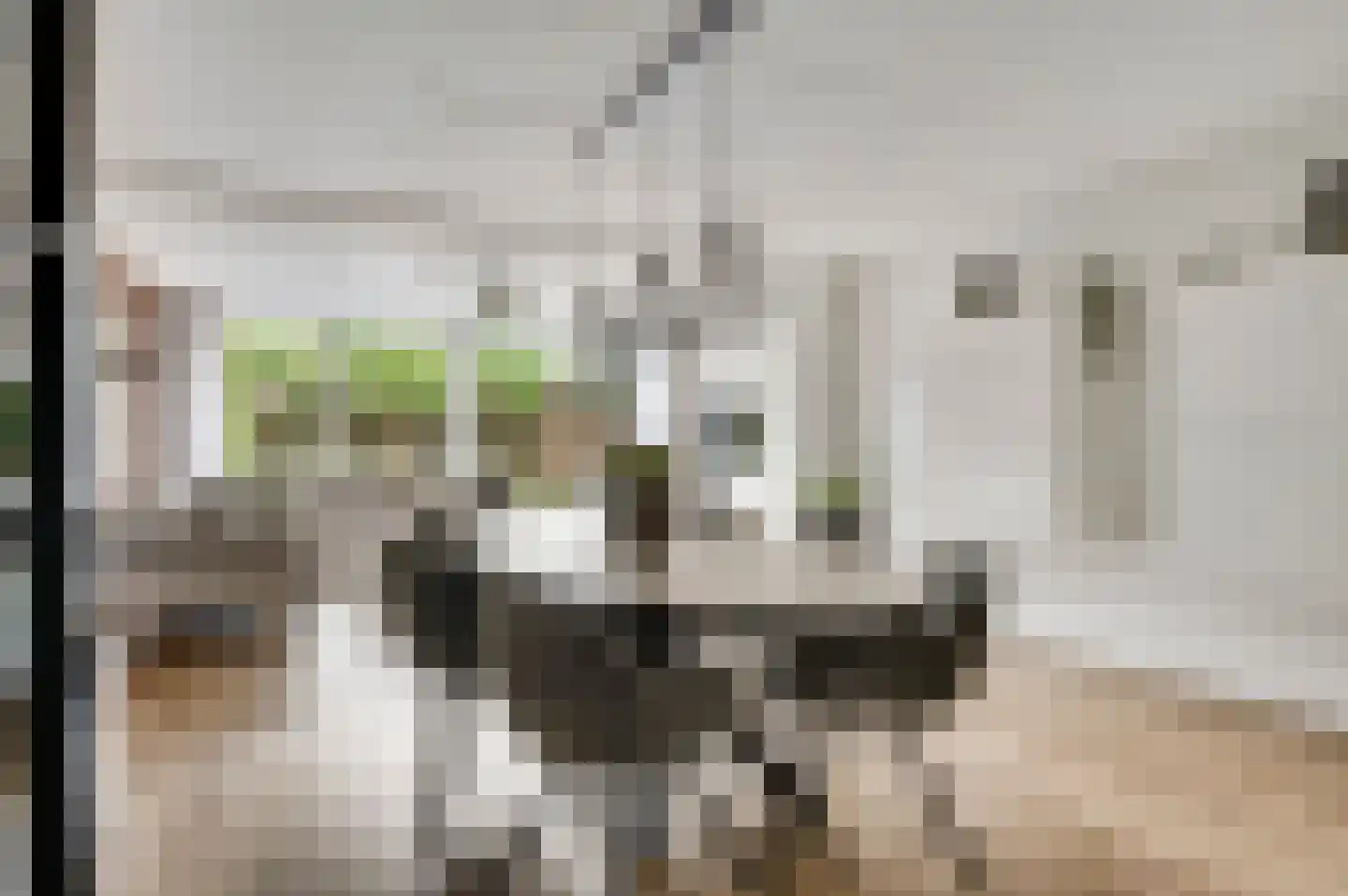 Vondersestraat 26 Horst thumbnail 15