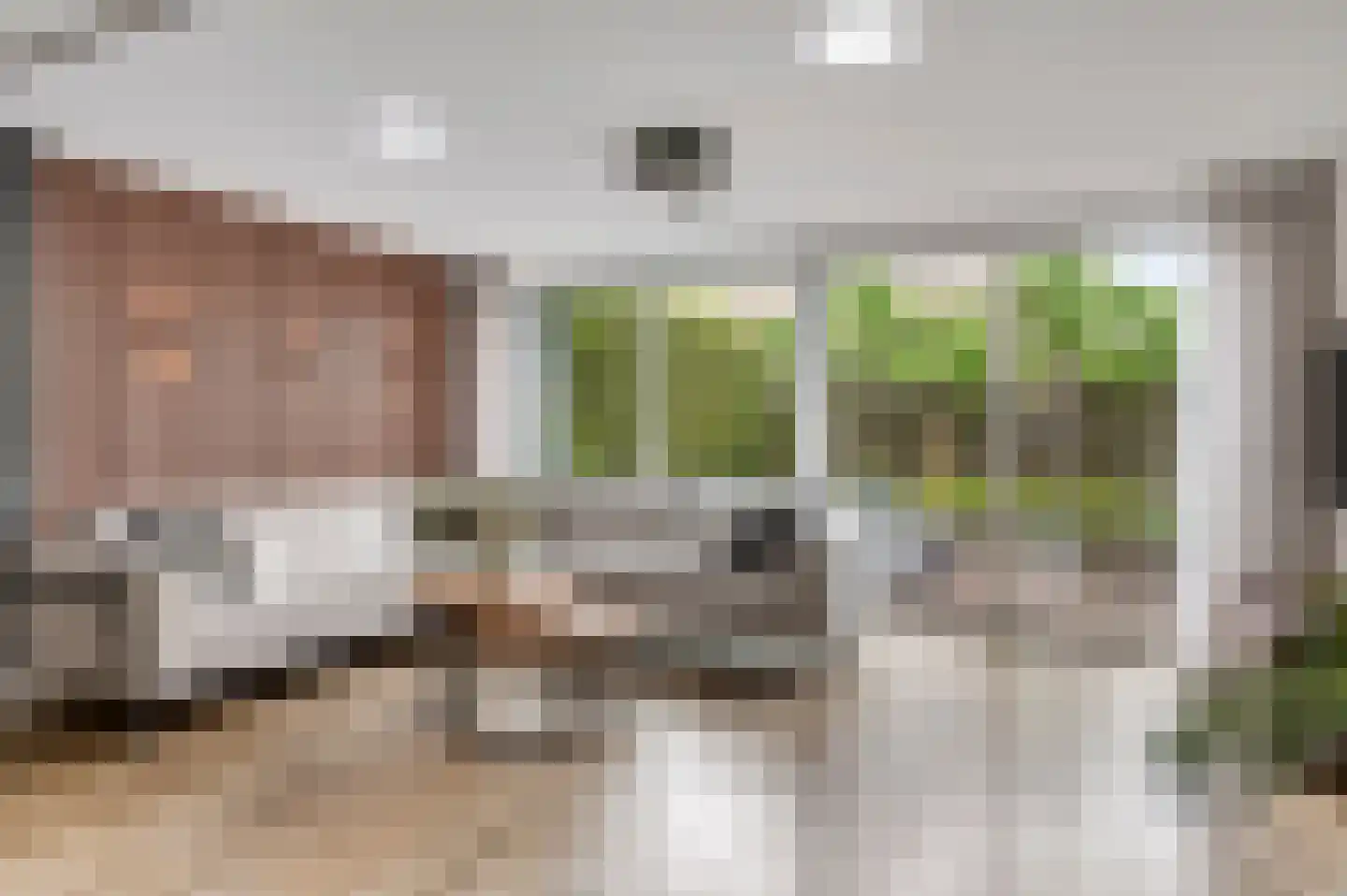 Vondersestraat 26 Horst thumbnail 17