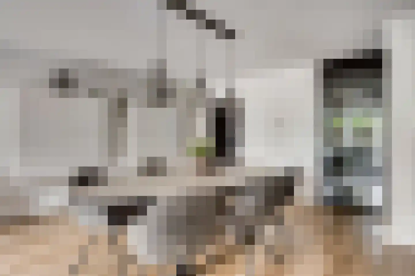 Vondersestraat 26 Horst thumbnail 19