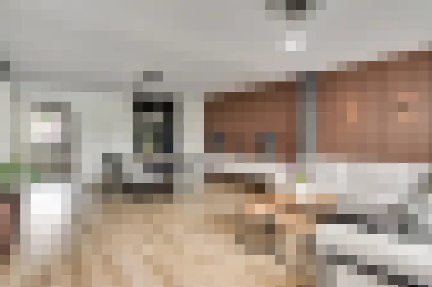 Vondersestraat 26 Horst thumbnail 20