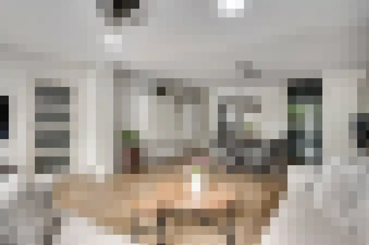 Vondersestraat 26 Horst thumbnail 21