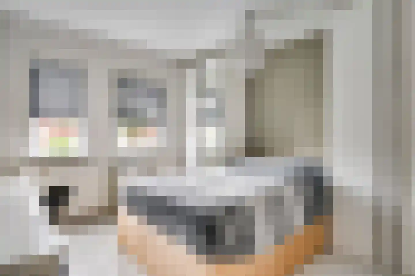 Vondersestraat 26 Horst thumbnail 36