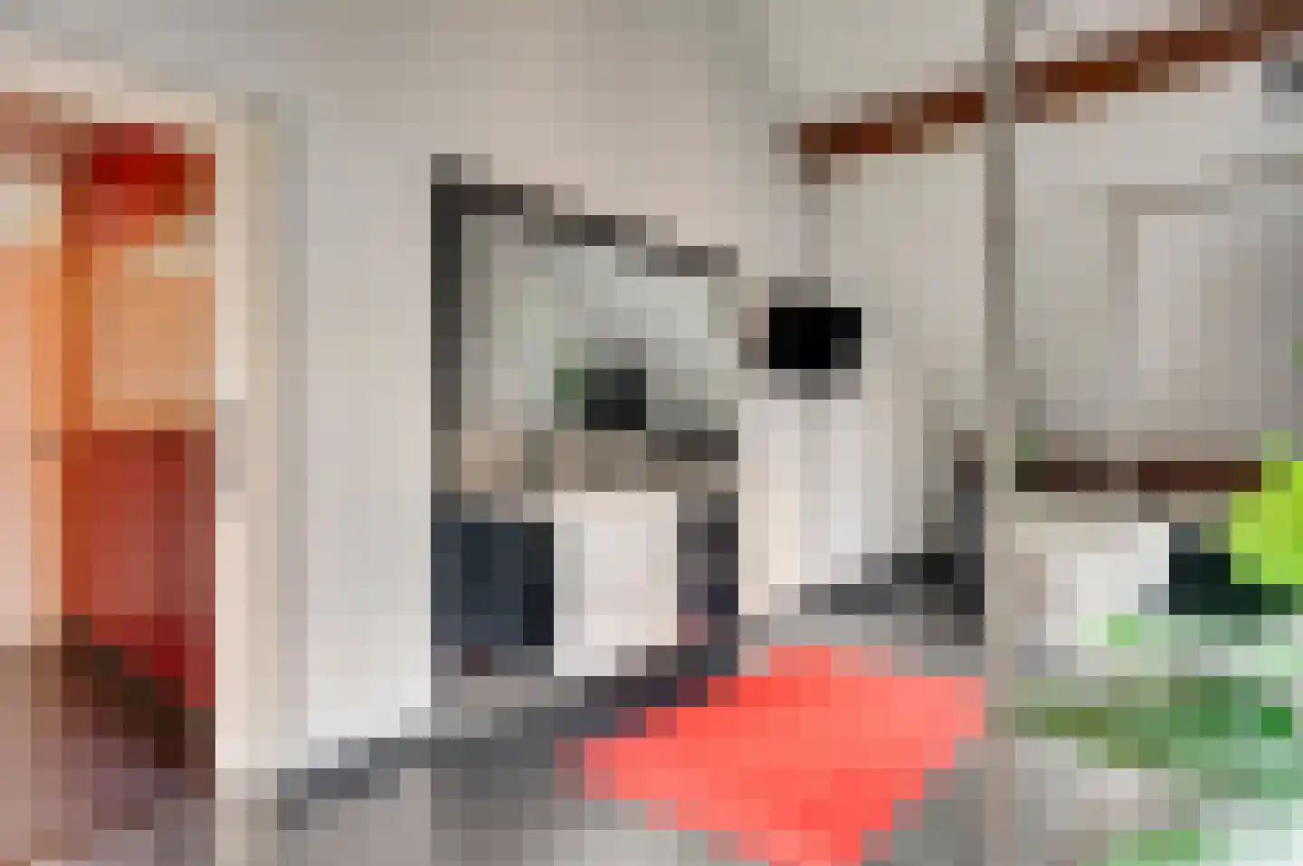 Vondersestraat 26 Horst thumbnail 42
