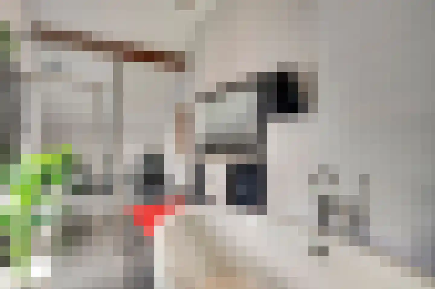 Vondersestraat 26 Horst thumbnail 43