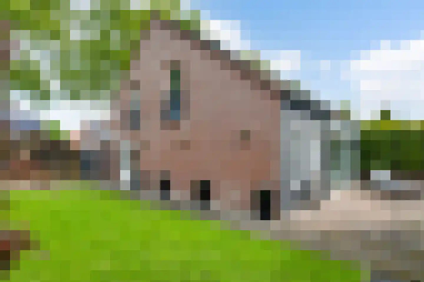 Vondersestraat 26 Horst thumbnail 53
