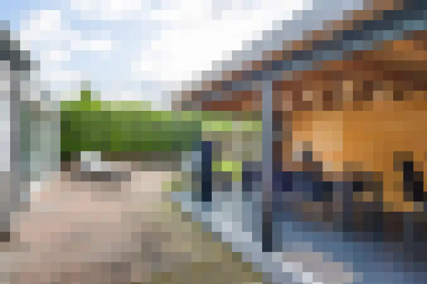 Vondersestraat 26 Horst thumbnail 54