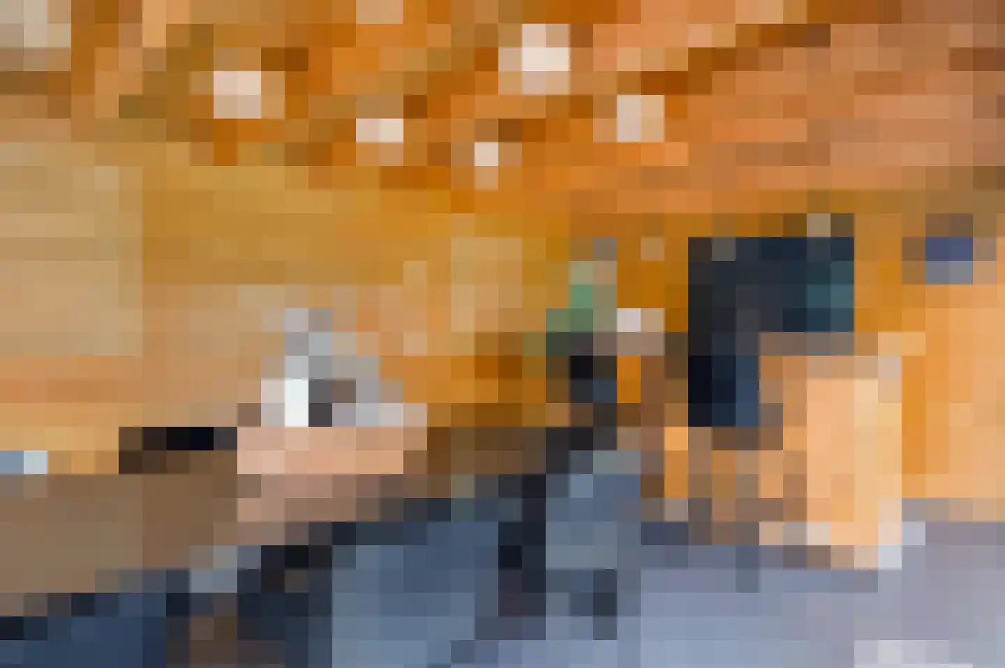Vondersestraat 26 Horst thumbnail 55