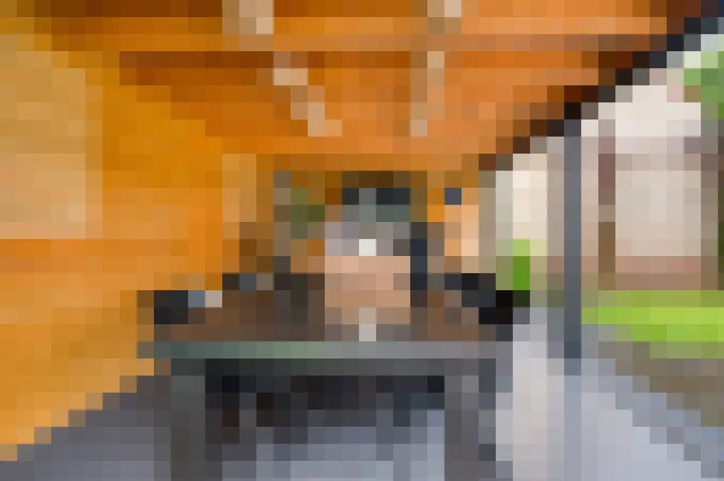 Vondersestraat 26 Horst thumbnail 56