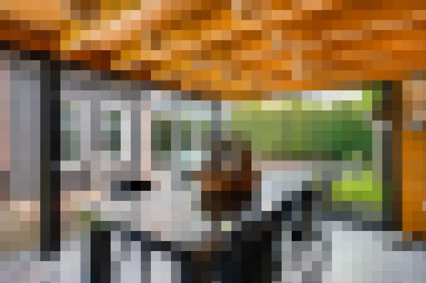 Vondersestraat 26 Horst thumbnail 57