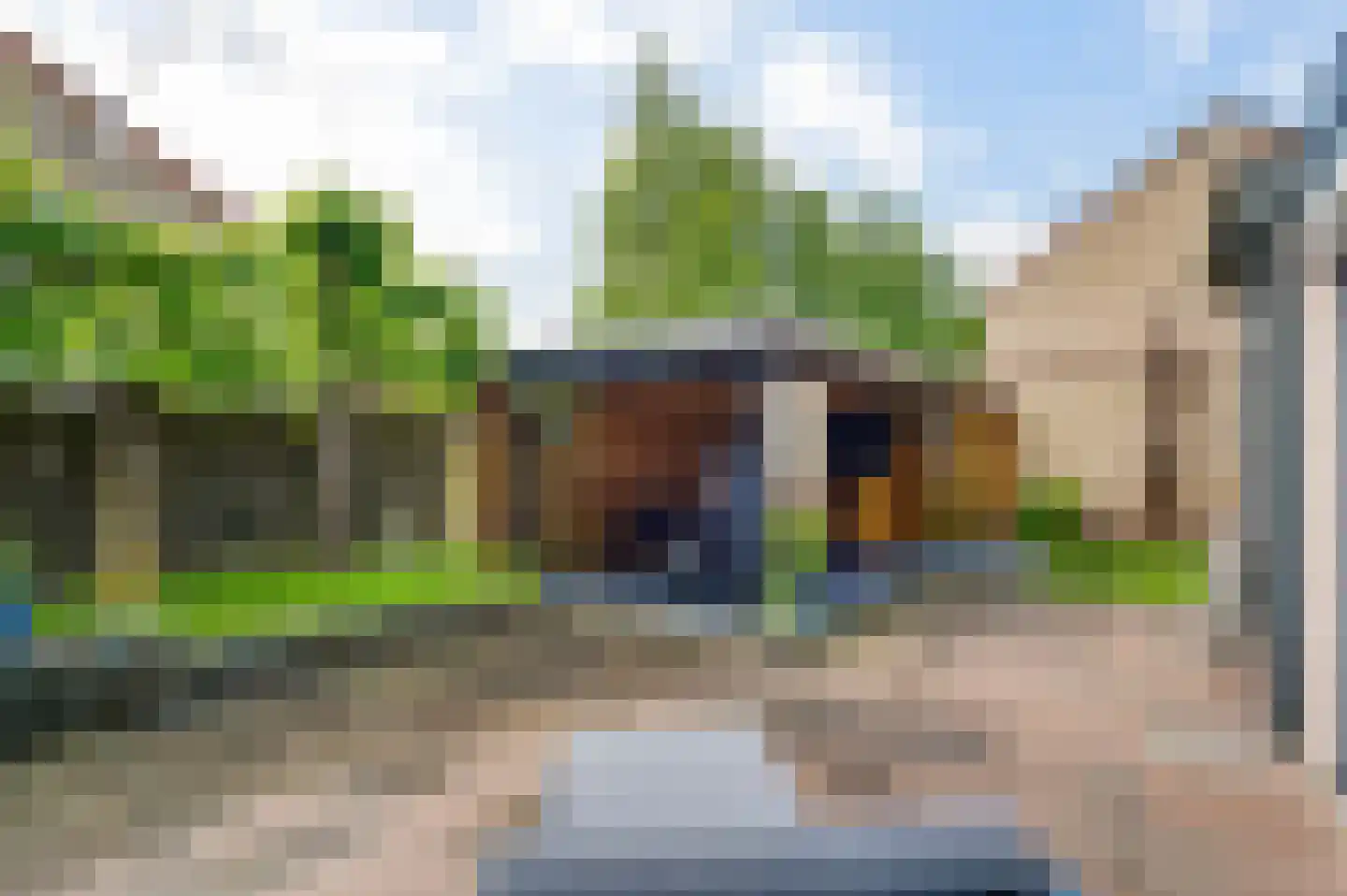 Vondersestraat 26 Horst thumbnail 60