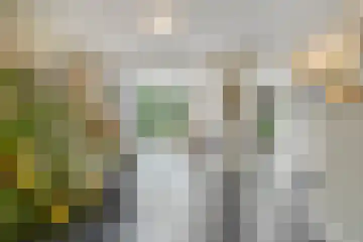 Vondersestraat 37 Horst thumbnail 14