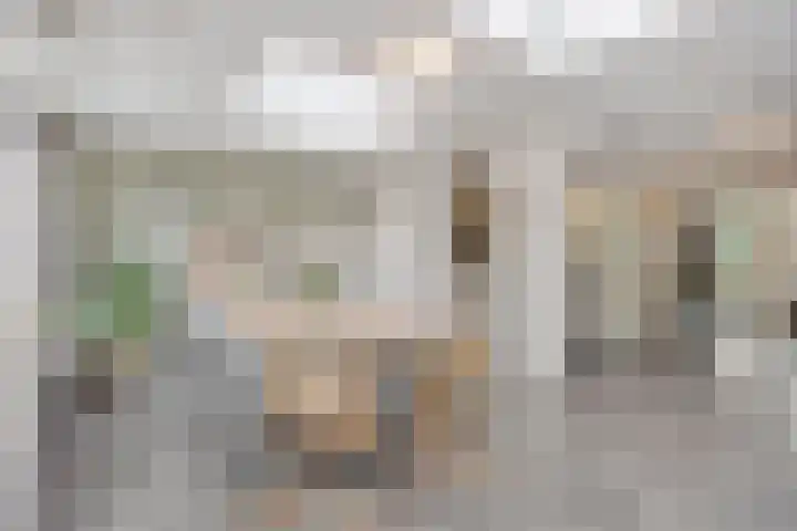 Vondersestraat 37 Horst thumbnail 19