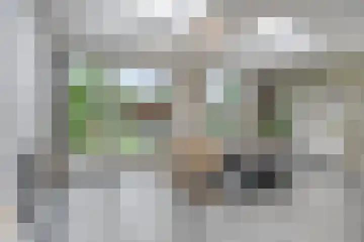 Vondersestraat 37 Horst thumbnail 21