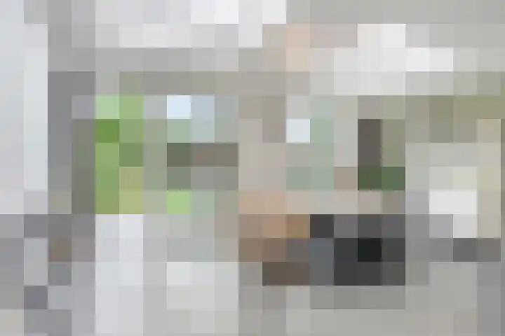 Vondersestraat 37 Horst thumbnail 22