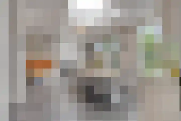 Vondersestraat 37 Horst thumbnail 23