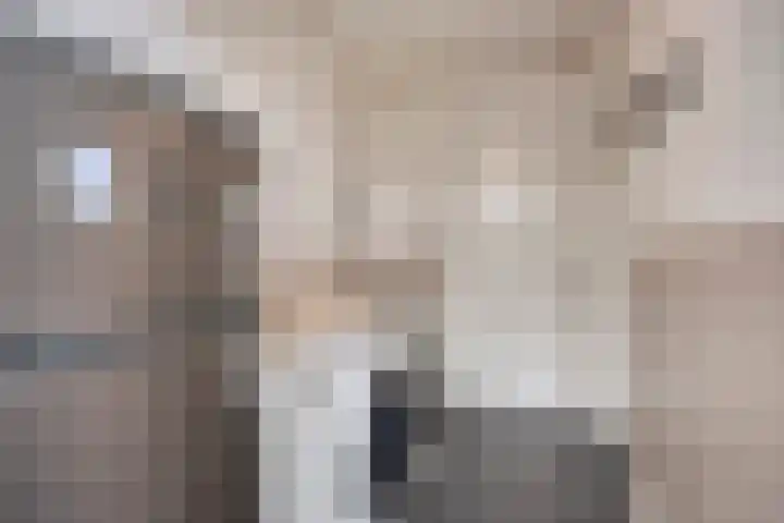 Vondersestraat 37 Horst thumbnail 26