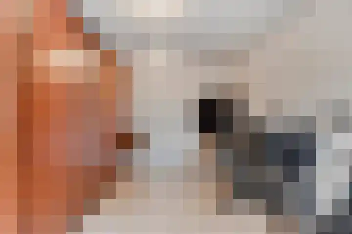 Vondersestraat 37 Horst thumbnail 28