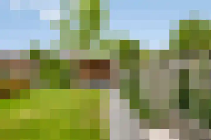 Vondersestraat 37 Horst thumbnail 4