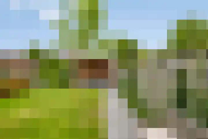 Vondersestraat 37 Horst thumbnail 41
