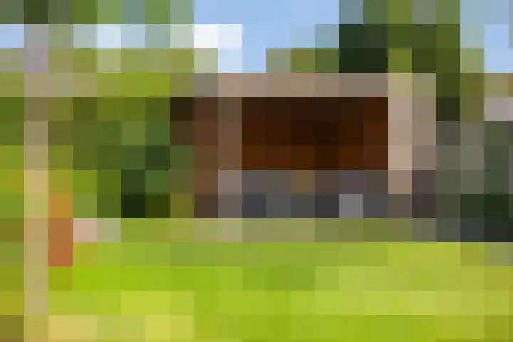 Vondersestraat 37 Horst thumbnail 44