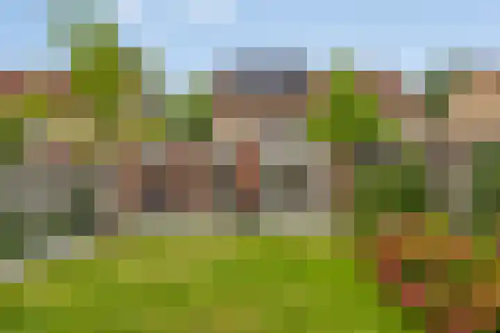 Vondersestraat 37 Horst thumbnail 45