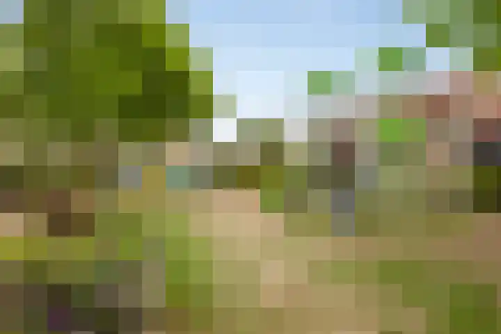 Vondersestraat 37 Horst thumbnail 46