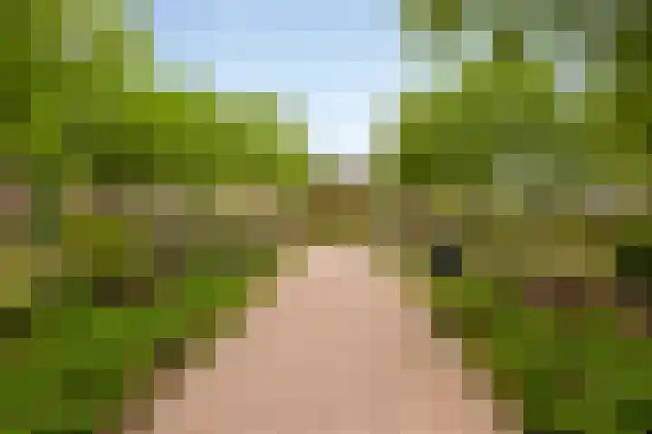 Vondersestraat 37 Horst thumbnail 47