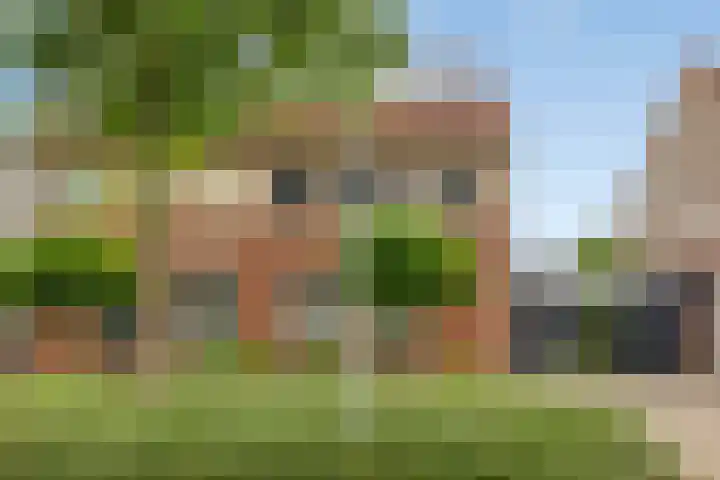 Vondersestraat 37 Horst thumbnail 5