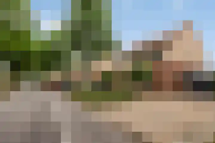 Vondersestraat 37 Horst thumbnail 6