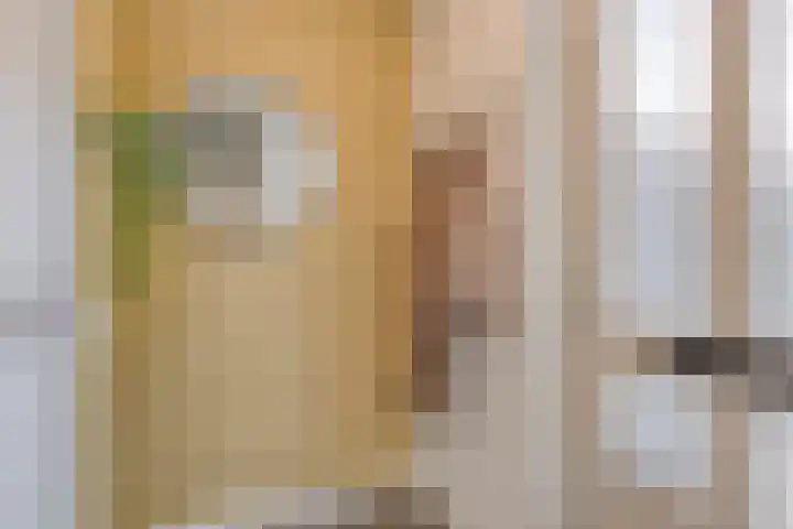 Vondersestraat 37 Horst thumbnail 9