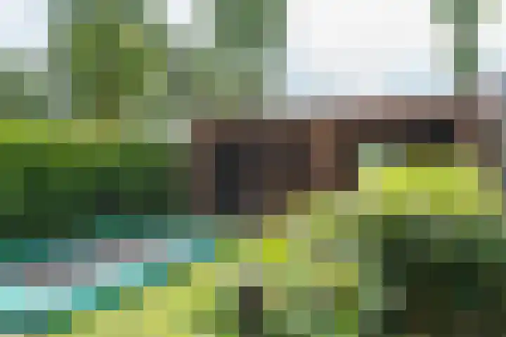 Vonderstraat 14 Riel thumbnail 33