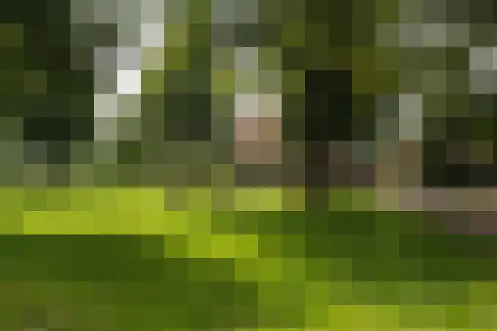 Vonderstraat 14 Riel thumbnail 39