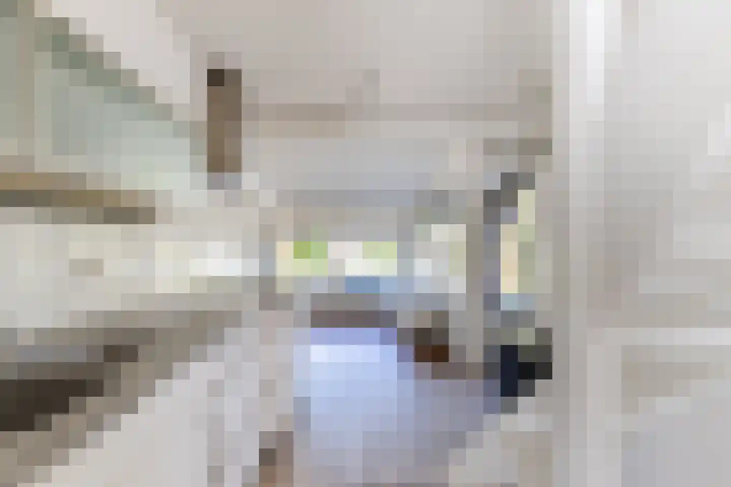 Vonderstraat 31 Riel thumbnail 19