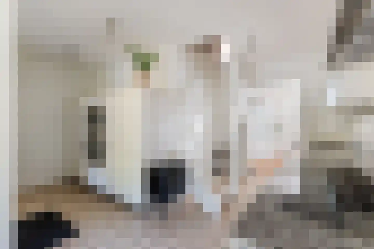 Vonderstraat 31 Riel thumbnail 20