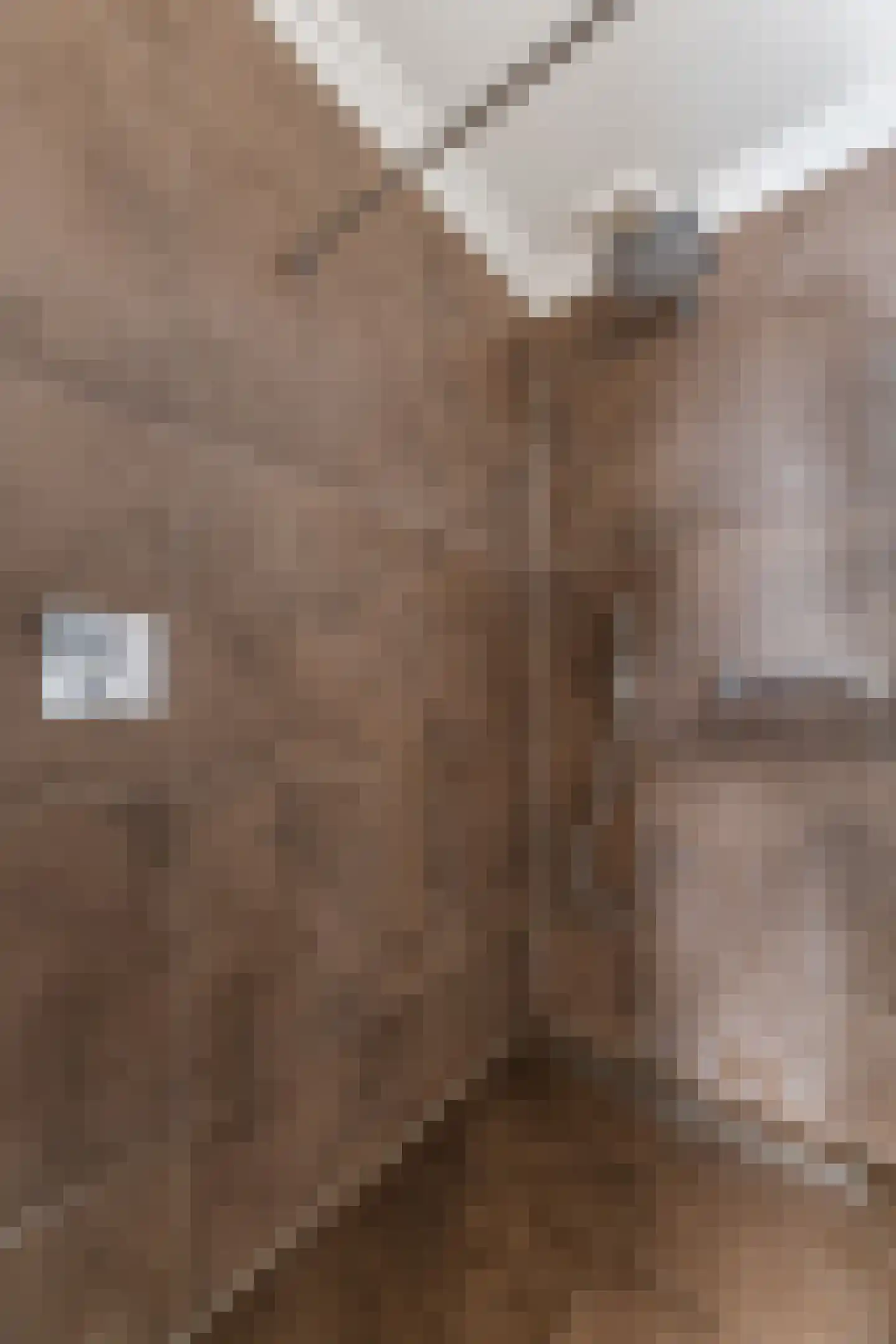 Vonderstraat 31 Riel thumbnail 27