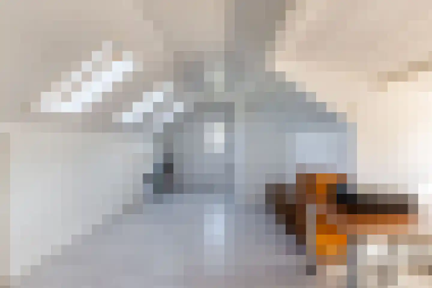 Vonderstraat 31 Riel thumbnail 37