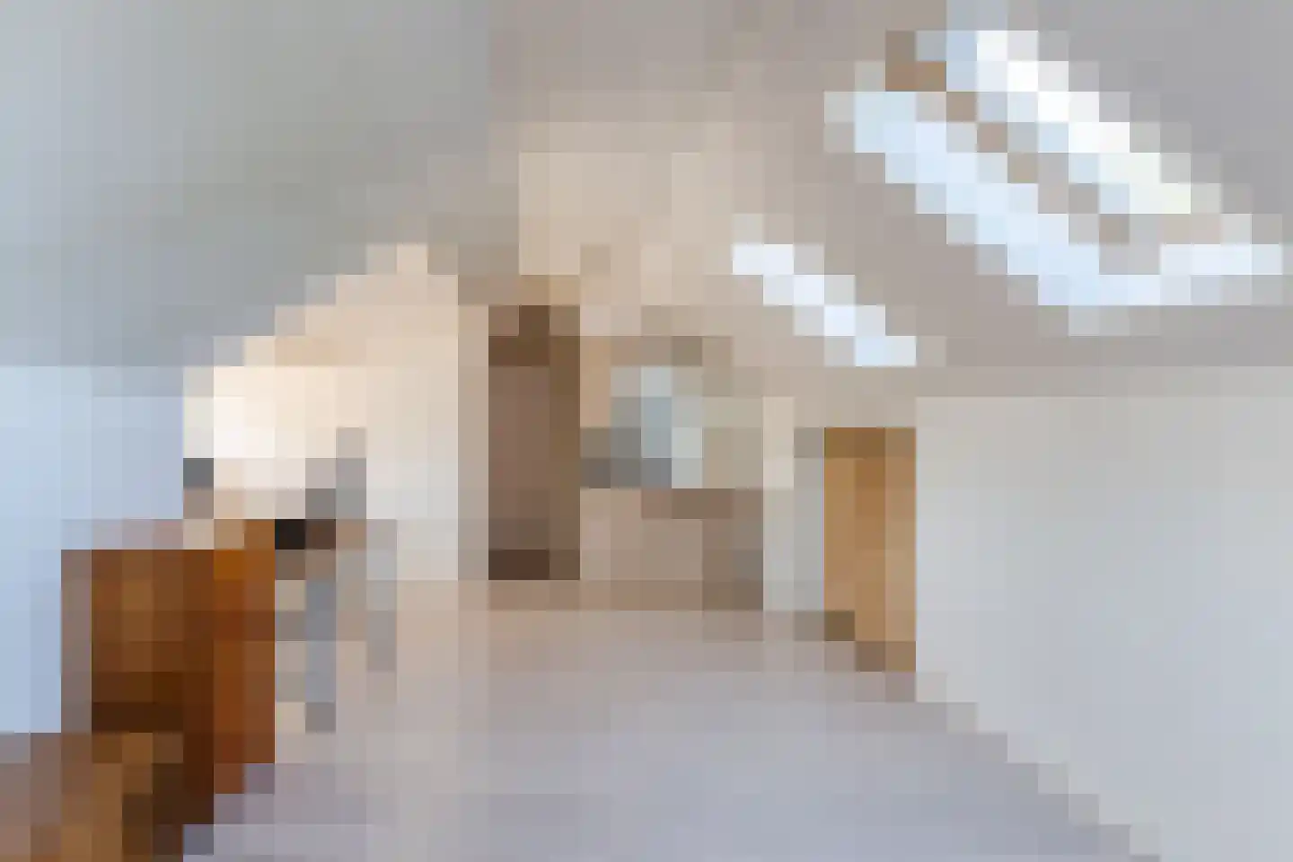 Vonderstraat 31 Riel thumbnail 38