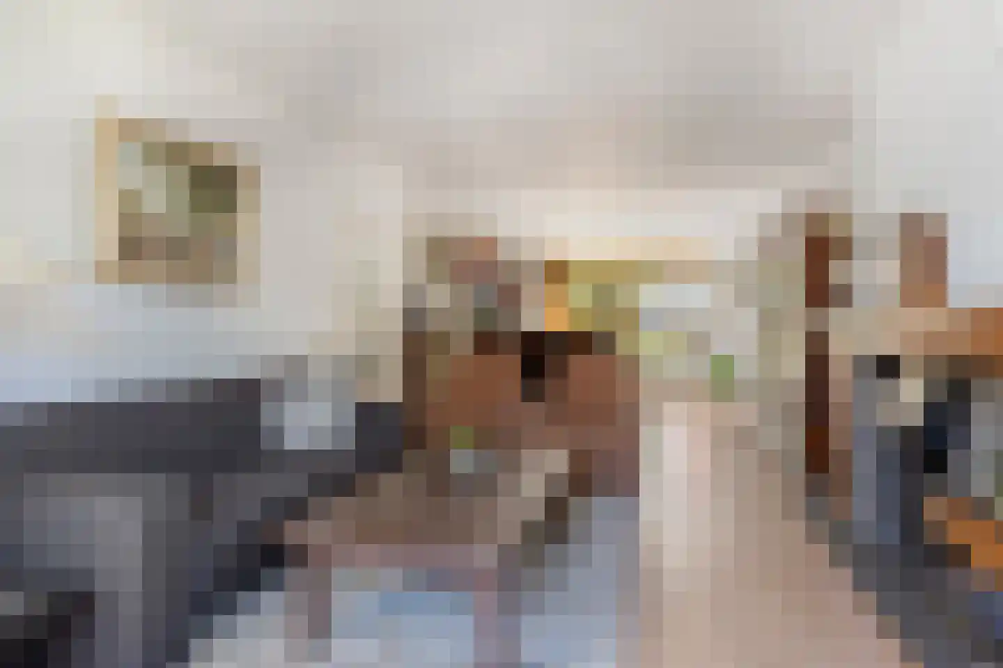 Vonderstraat 39 Riel thumbnail 15